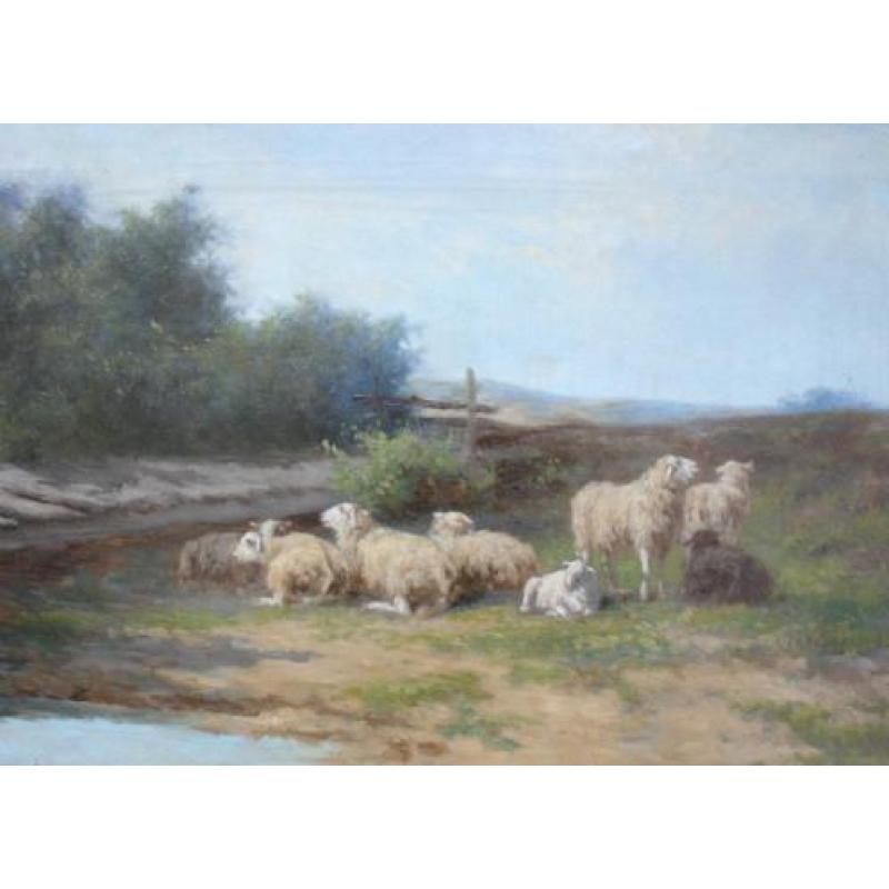 HCC Bogman (1861- 1921) schapen aan het water