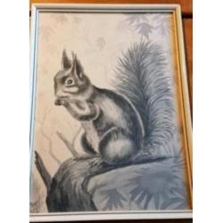 Tekening met aquarel en grafiet eekhoorn Aart Verwey 1966.