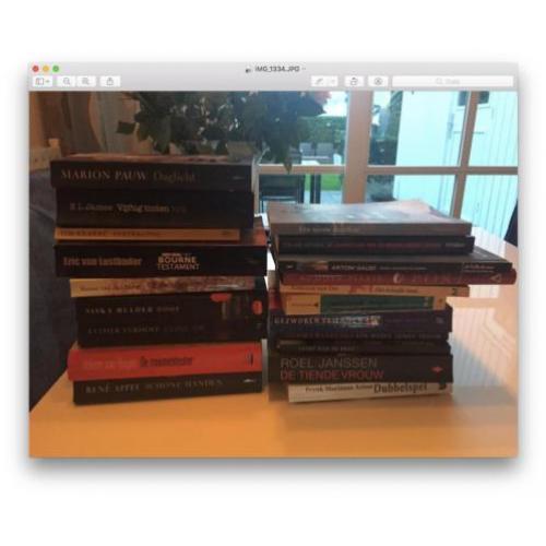 Pakket van 20 boeken chicklit, detective, romans, literatuur