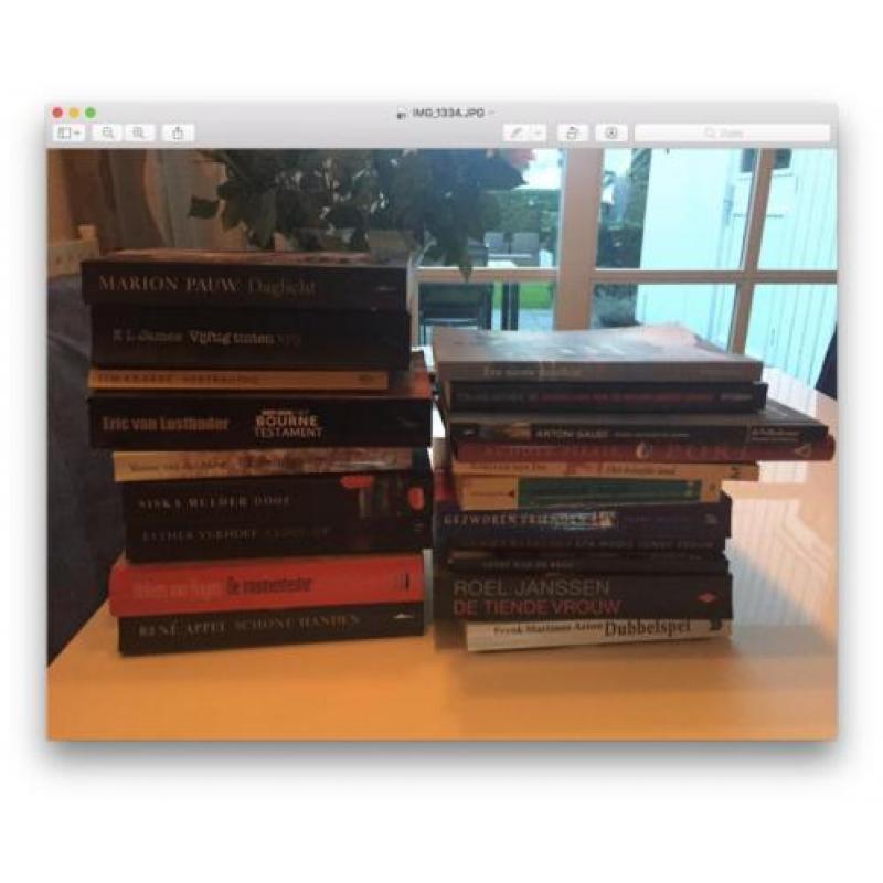 Pakket van 20 boeken chicklit, detective, romans, literatuur