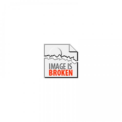 Shire merrie 5 jaar zwart 4 wit en bles met volle stamboek p