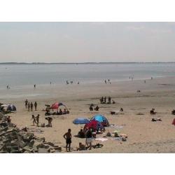 Gezellig met hond op vakantie?50m.vh strand, 4p.vak.bungalow