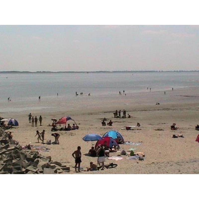 Gezellig met hond op vakantie?50m.vh strand, 4p.vak.bungalow