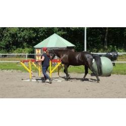 Schitterende zwarte 6 jarige ruin 1.55 m Andalusier x Fries