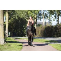EYECATCHER!! Geweldige, betrouwbare friese stamboekmerrie.