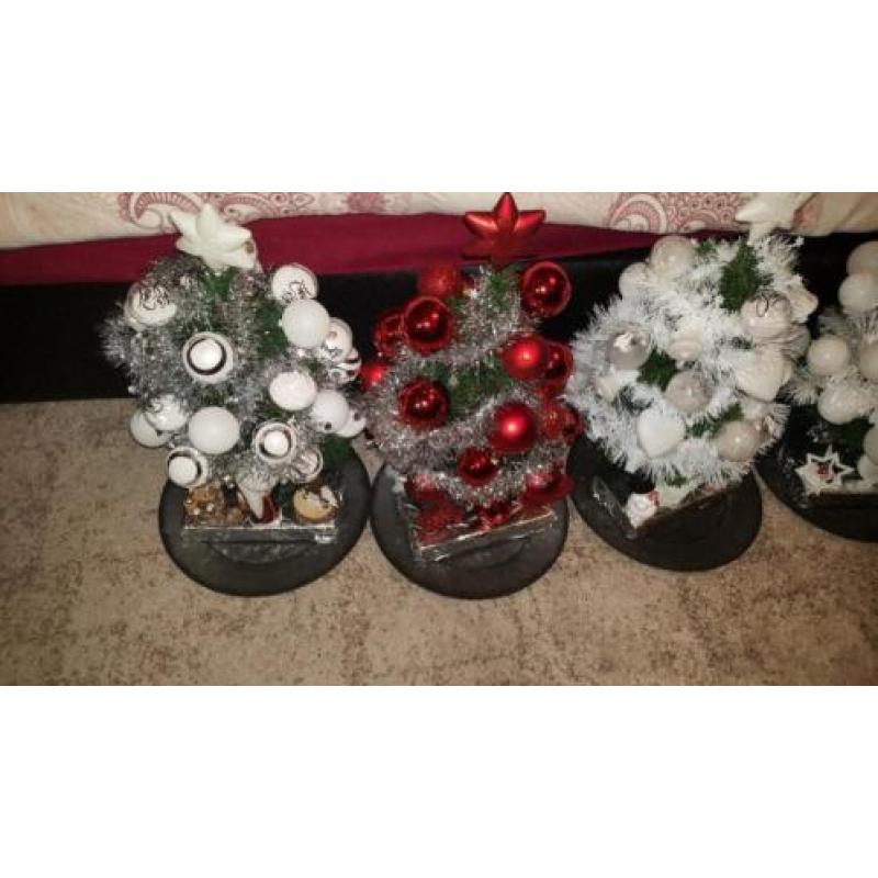 Kerstboompjes