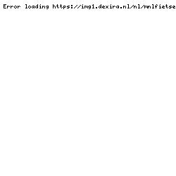 Batavus nuva versa met 7 Naafversnelling Shimano Nexus.