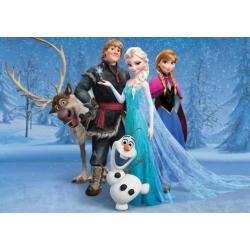 Frozen fotobehang Forest,Frozen behang Elsa Gratis verzenden