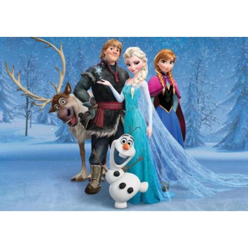 Frozen fotobehang Forest,Frozen behang Elsa Gratis verzenden