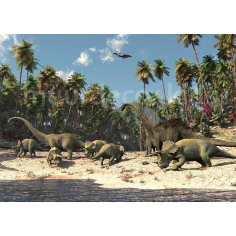 Dinosaurus behang fotobehang met GRATIS LIJM *Muurdeco4kids