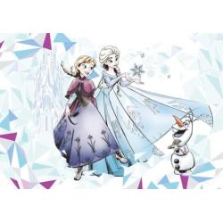 Fotobehang Frozen Gratis Lijm en verzenden
